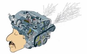 Dessin : Pauline Aubry / cesan.fr